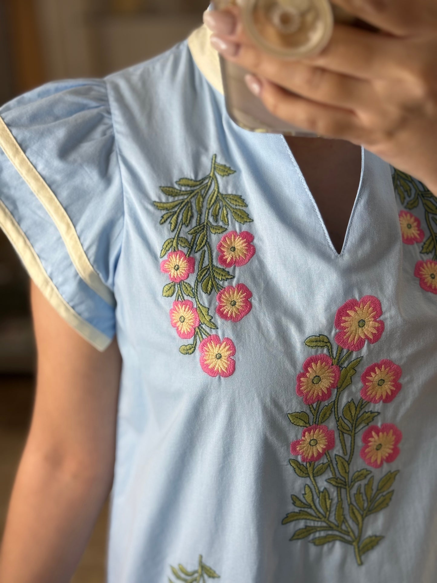 Sky Blue Floral Embroidered Mini Dress
