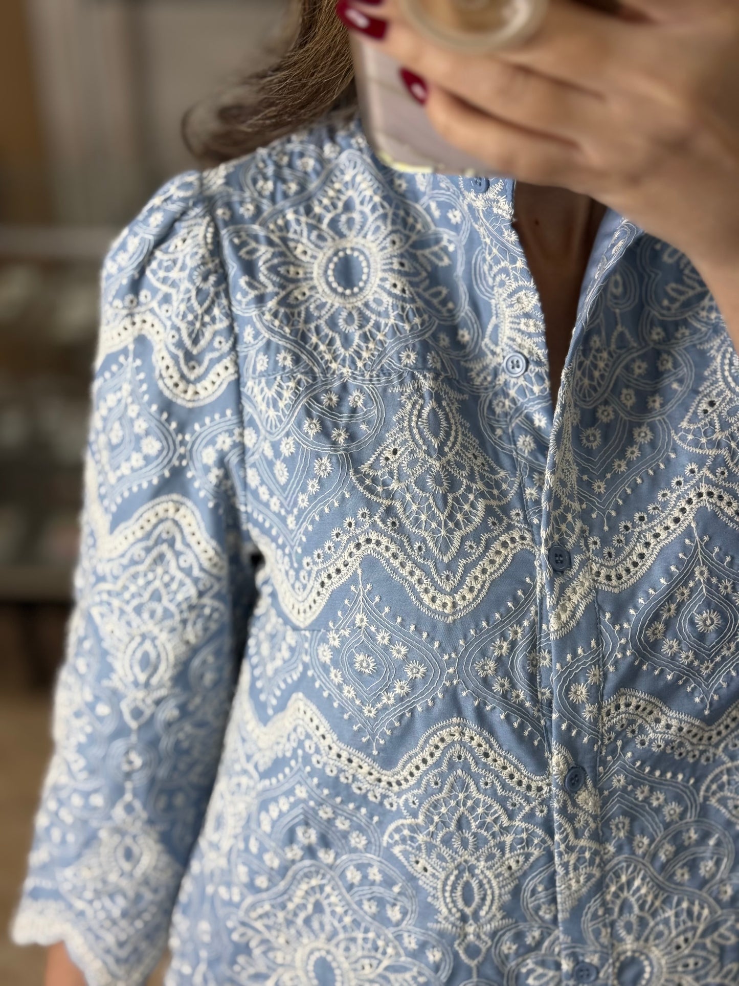 Blue Embroidered Eyelet Midi Dress