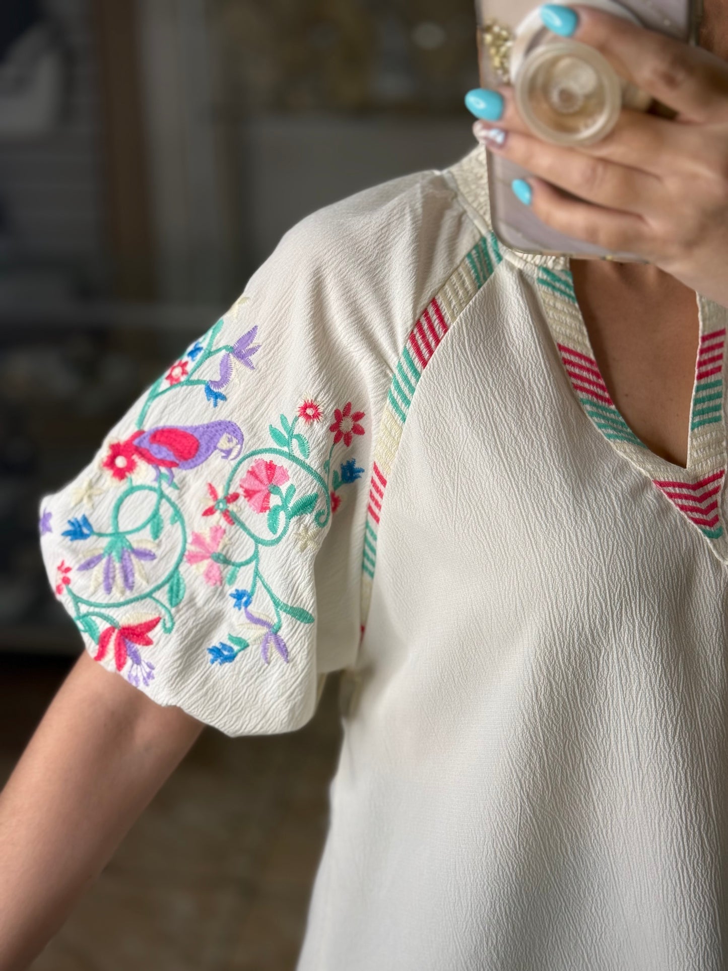 Embroidered Sleeves Cream Top