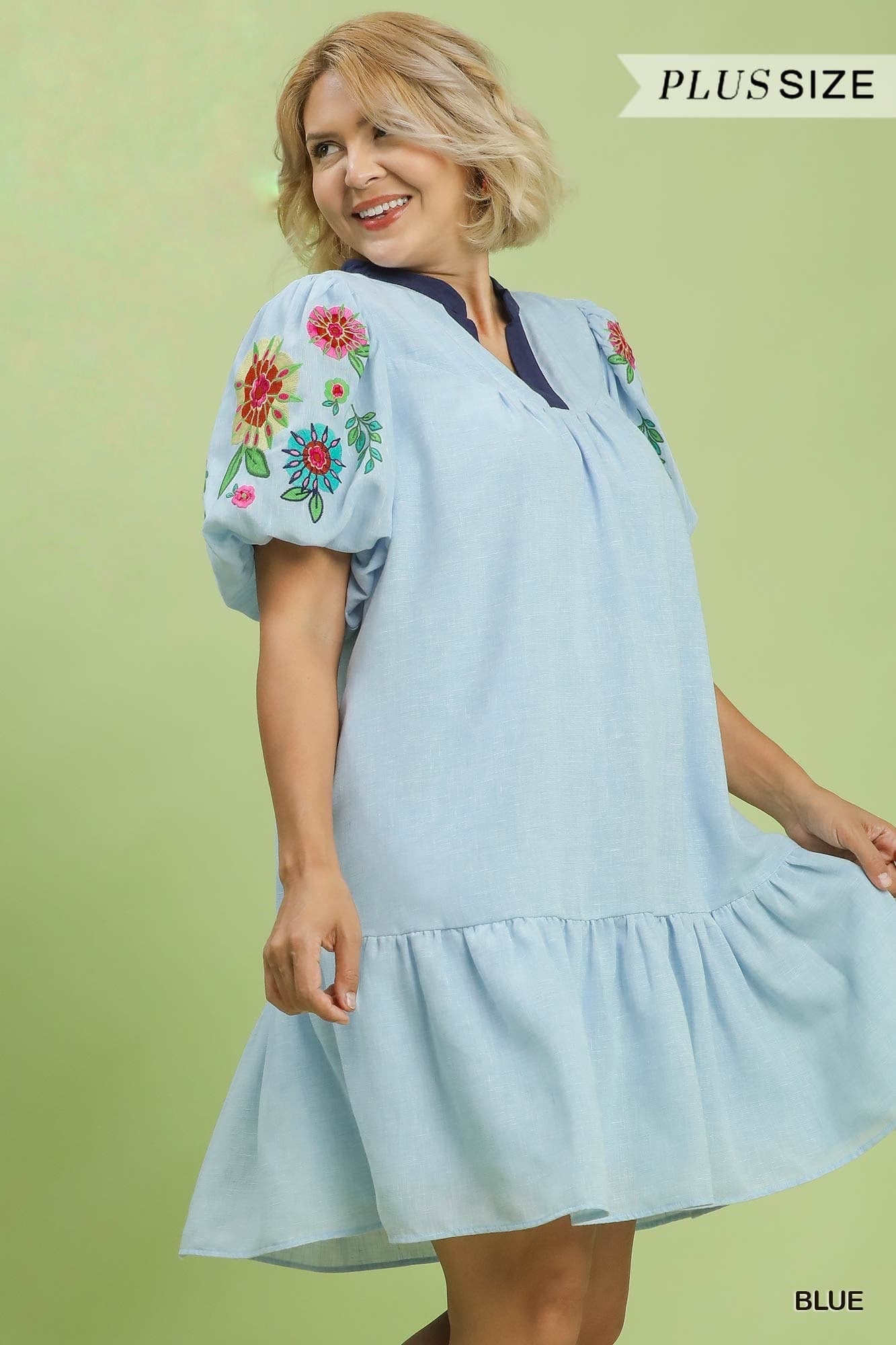Embroidered Puff Sleeve Tiered Dress (PLUS)