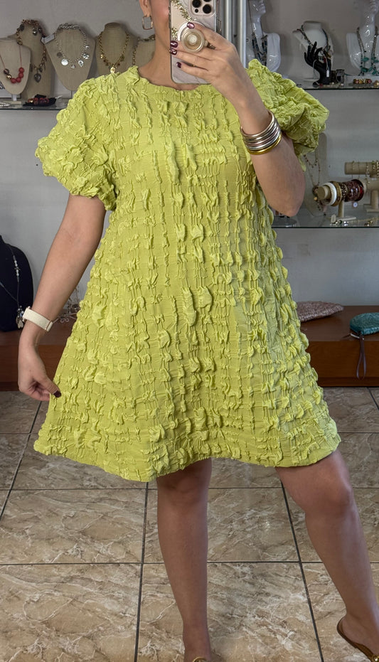 Pistachio Textured Round Neck Mini Dress