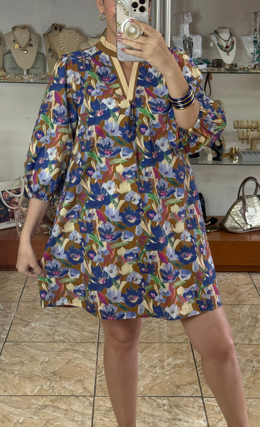 Brown/Blue Floral Dress