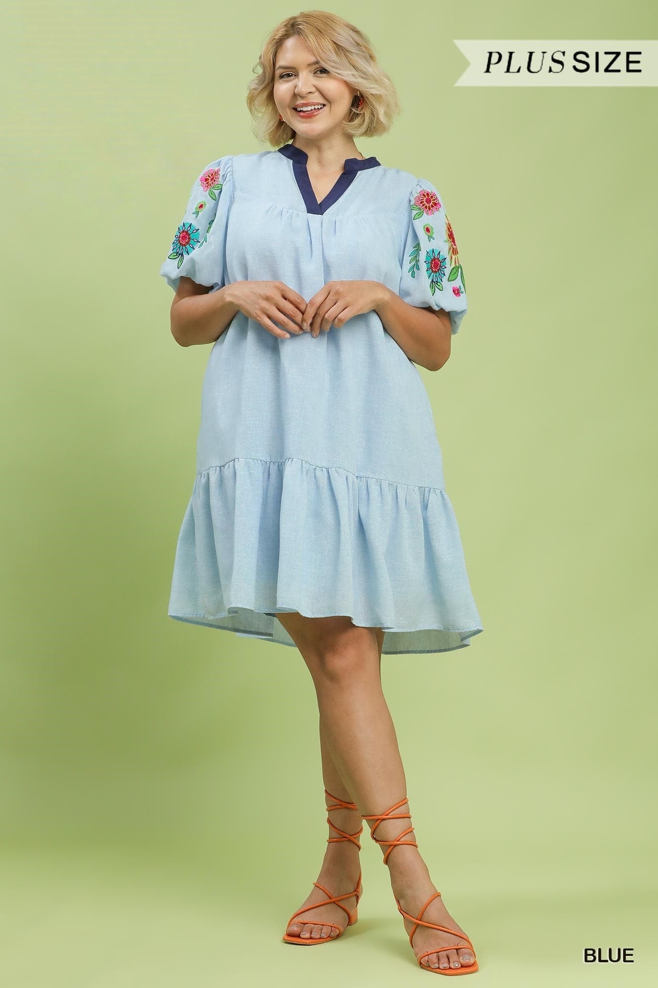 Embroidered Puff Sleeve Tiered Dress (PLUS)